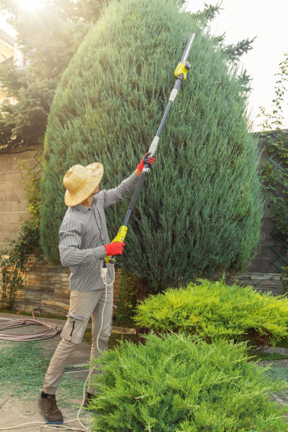 Best Hedge Trimming  in St James City, FL